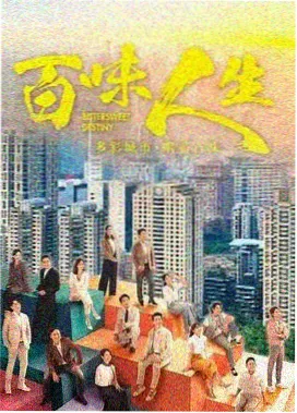 山海情深